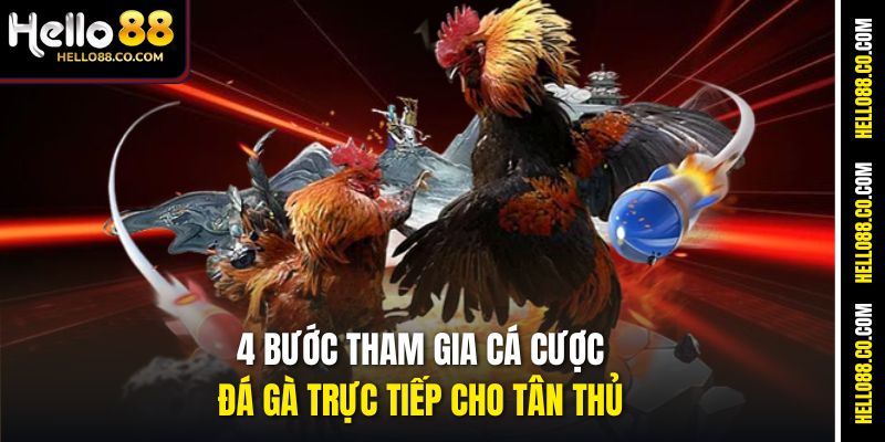 4 bước tham gia cá cược đá gà trực tiếp cho tân thủ