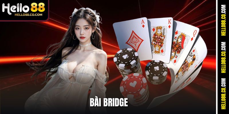 Bài Bridge