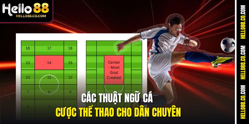 Các thuật ngữ cá cược thể thao cho dân chuyên