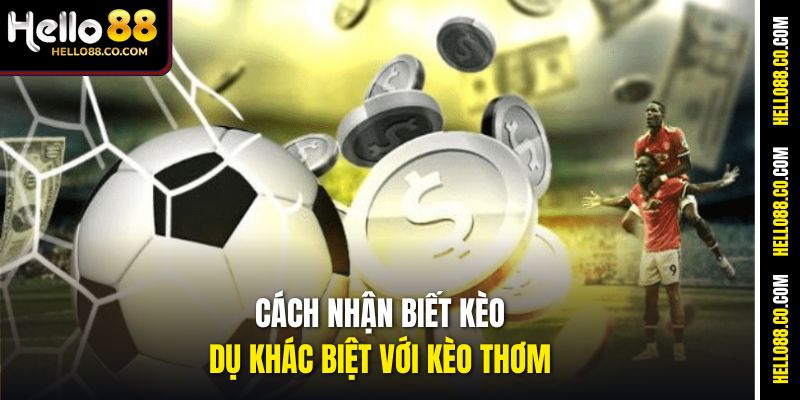 Cách Nhận Biết Kèo Dụ Hello88 – Bí Quyết Né Bẫy Kèo Thơm 2 Cách nhận biết kèo dụ khác biệt với kèo thơm
