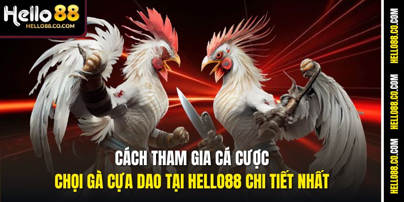 Cách tham gia cá cược chọi gà cựa dao tại Hello88 chi tiết nhất