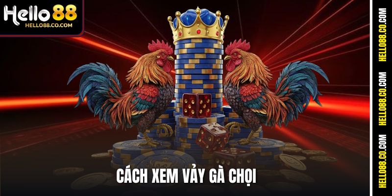 Cách Xem Vảy Gà Chọi