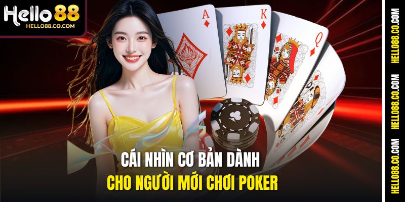 Cái nhìn cơ bản dành cho người mới chơi Poker