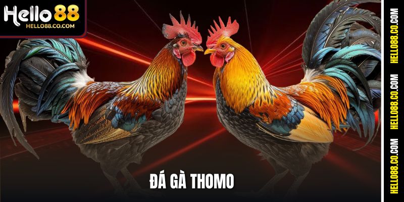 Đá Gà Thomo