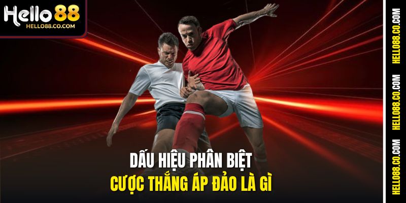 Cược Thắng Áp Đảo Là Gì - Hello88 Giải Thích Chi Tiết 3 Dấu hiệu phân biệt cược thắng áp đảo là gì