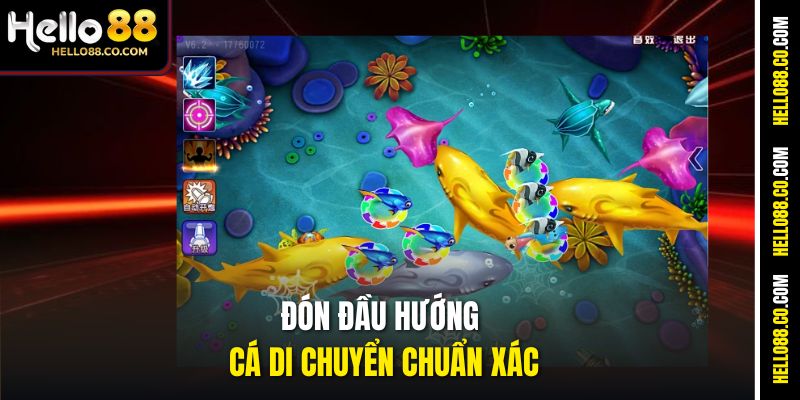 Đón đầu hướng cá di chuyển chuẩn xác