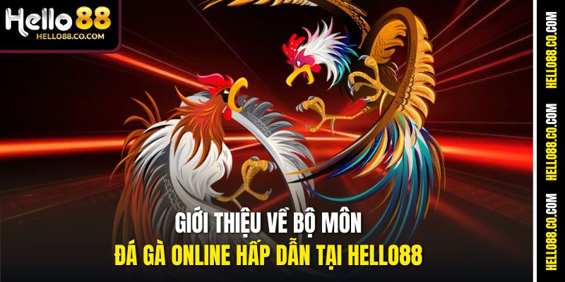 Giới thiệu về bộ môn đá gà online hấp dẫn tại Hello88