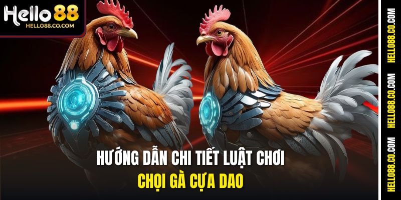 Hướng dẫn chi tiết luật chơi chọi gà cựa dao