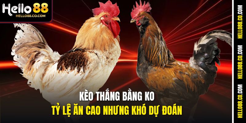 Kèo thắng bằng KO tỷ lệ ăn cao nhưng khó dự đoán