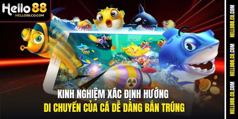 Kinh nghiệm xác định hướng di chuyển của cá dễ dàng bắn trúng