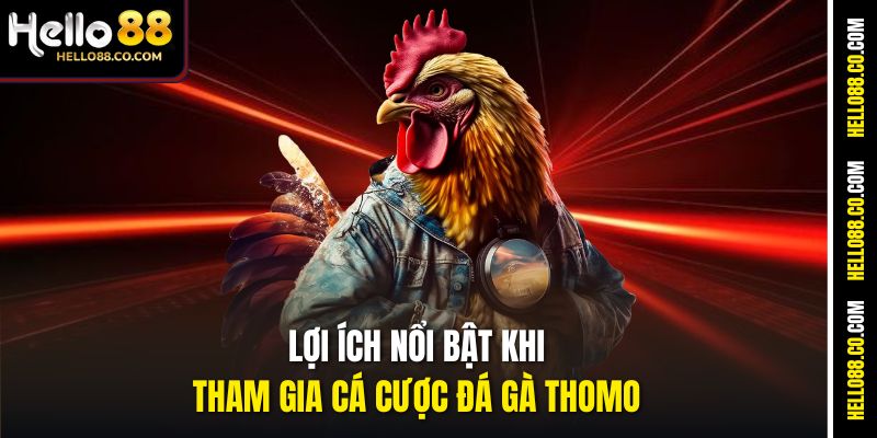 Lợi ích nổi bật khi tham gia cá cược đá gà Thomo
