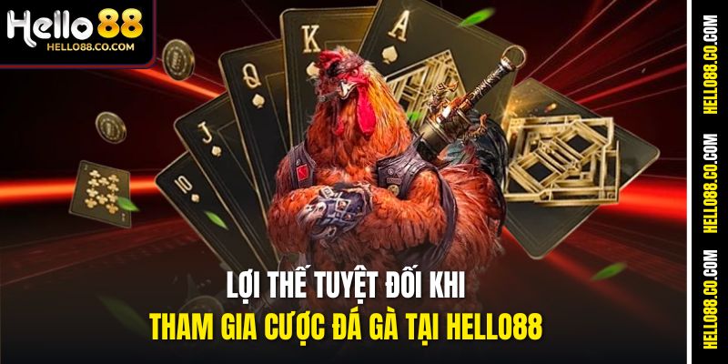 Lợi thế tuyệt đối khi tham gia cược đá gà tại Hello88
