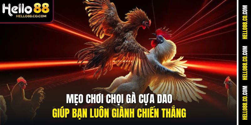 Mẹo chơi chọi gà cựa dao giúp bạn luôn giành chiến thắng