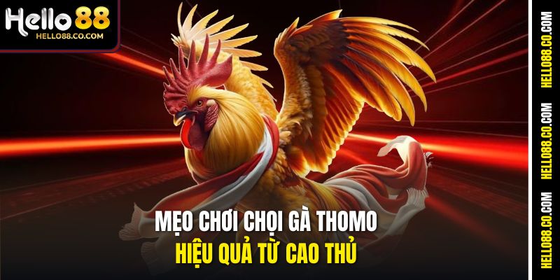 Mẹo chơi chọi gà Thomo hiệu quả từ cao thủ