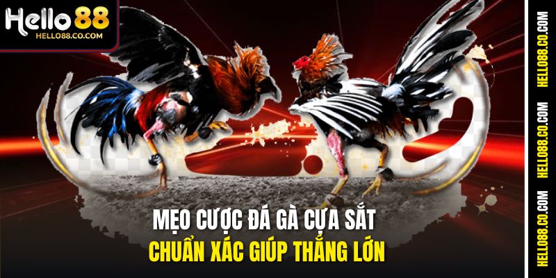 Mẹo cược đá gà cựa sắt chuẩn xác giúp thắng lớn
