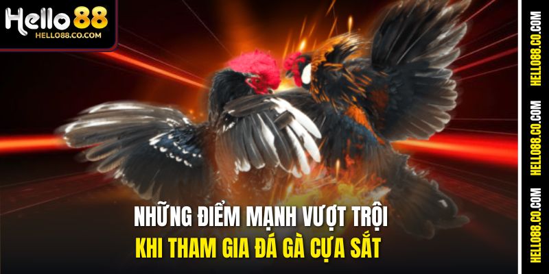 Những điểm mạnh vượt trội khi tham gia đá gà cựa sắt 