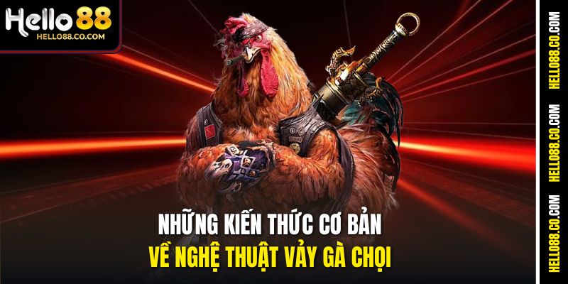 Những kiến thức cơ bản về nghệ thuật vảy gà chọi