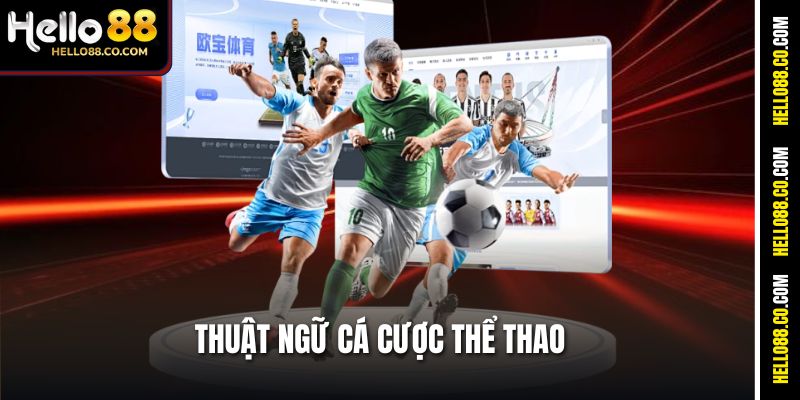 Thuật Ngữ Cá Cược Thể Thao